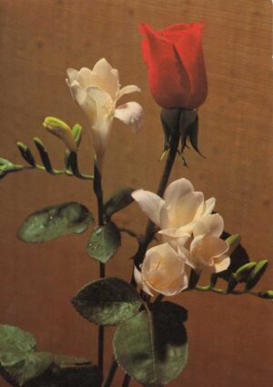 CH, Blumenstrauss mit Rose