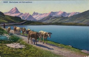 CH, Grindelwald, Bachalpsee