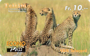 CH, Teleline, Tiere, Fr10, Leopard