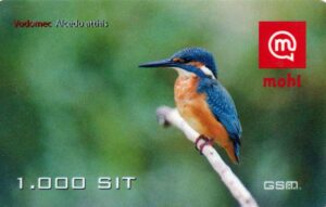 SI, mobi, 1000, Eisvogel, Alcedo atthis