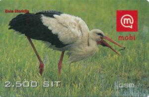 SI, mobi, 2500, Weissstorch, Ciconia ciconia