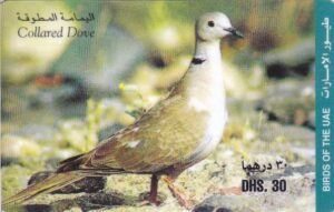 AE, Etisalat, Vogel, Dhs30, Collared Dove
