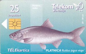 SI, Telekom Slovenije, 25, Fisch, Platnica