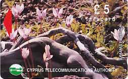 CY, cyprus telecom, Blumen, £5, Alpenveilchen rosa