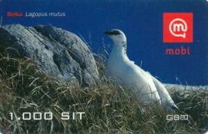 SI, mobi, 1000, Alpenschneehuhn, Belka grau