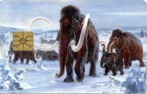 CZ, SPT, Tiere, 100, Mammut, Winter
