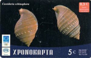 GR, OTE, ΧΡΟΝΟΚΑΡΤΑ, 5€, Muschel, Cassidaria echinophora