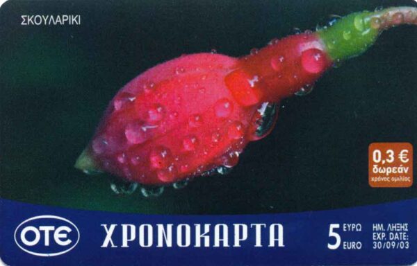 GR, OTE, ΧPΟΝΟΚΑΡΤΑ, 5€, Blumen, Knospe rot