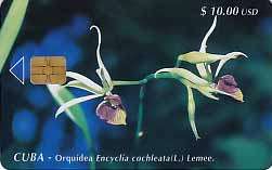 CU, etecsa, Blumen, $10usd, Orchidee, weiss