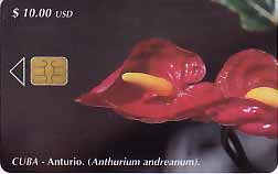 CU, etecsa, Blumen, $10usd, Flamingoblume rot