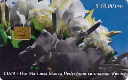 CU, etecsa, Blumen, $10usd, Schmetterlingsblume weiss
