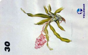 BR, Telemar, 30, Blume, Billbergia pyramidalis