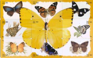 AE, Etisalat, Dhs30, Schmetterlinge, 9 Karten