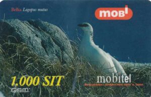 SI, mobi, 1000, Alpenschneehuhn, Belka blau